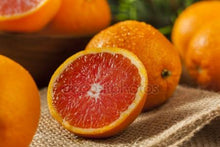 Beautiful Blood Orange